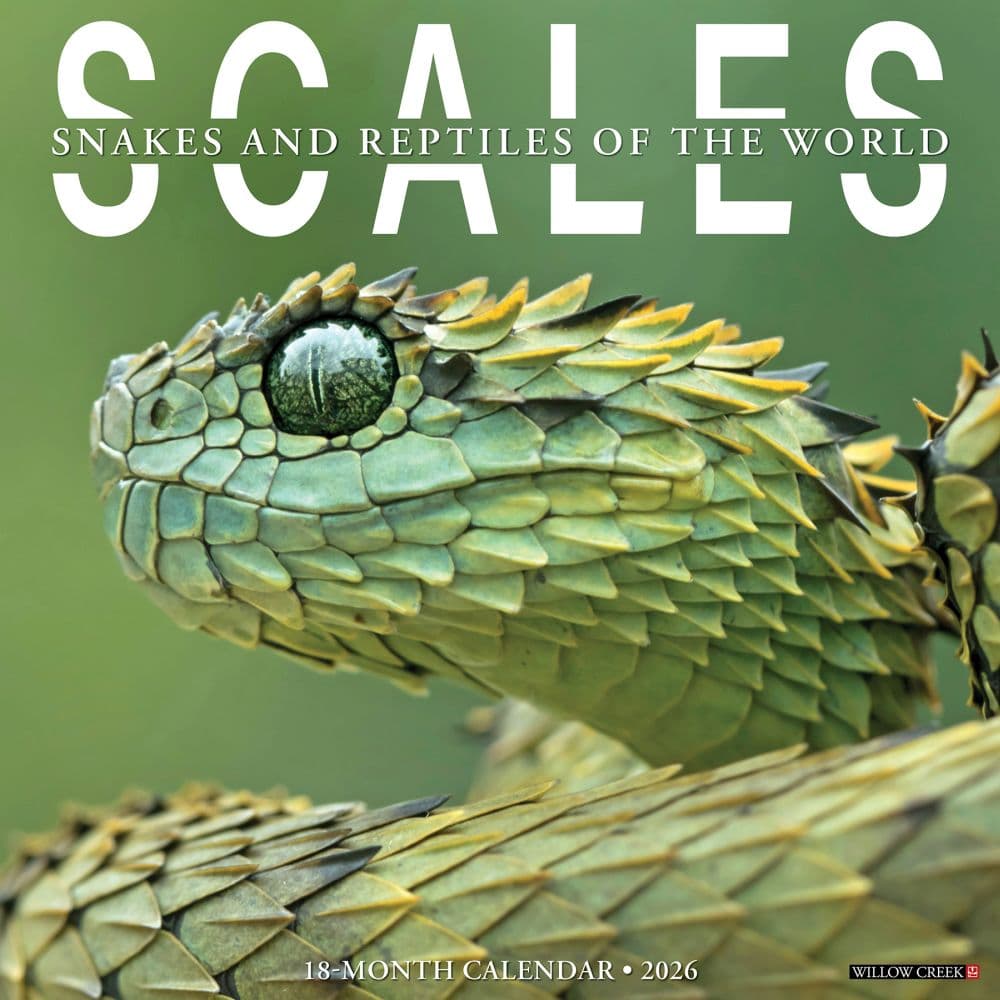 Scales 2026 Wall Calendar Main Image