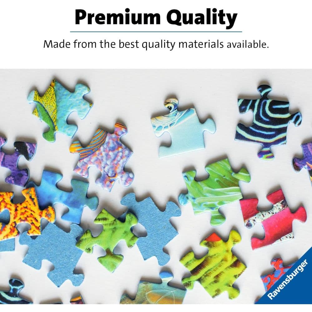 Gondola Ride 300 Piece Large Format Puzzle Second Alternate Image