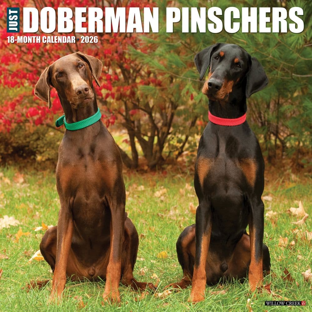 Just Dobermans 2026 Wall Calendar Main Image
