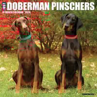image Just Dobermans 2026 Wall Calendar Main Image