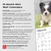 image Chihuahua Puppies 2025 Mini Wall Calendar