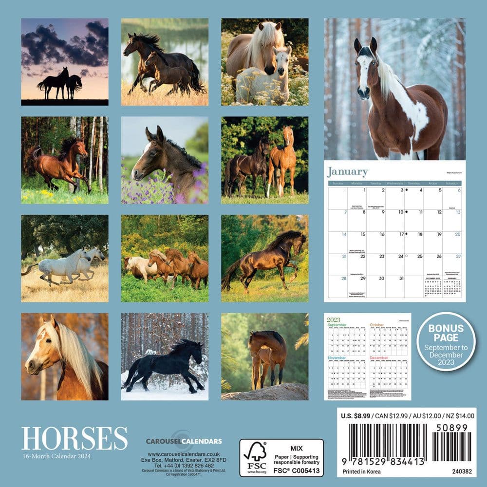 Horses 2024 Mini Wall Calendar Alternate Image 1