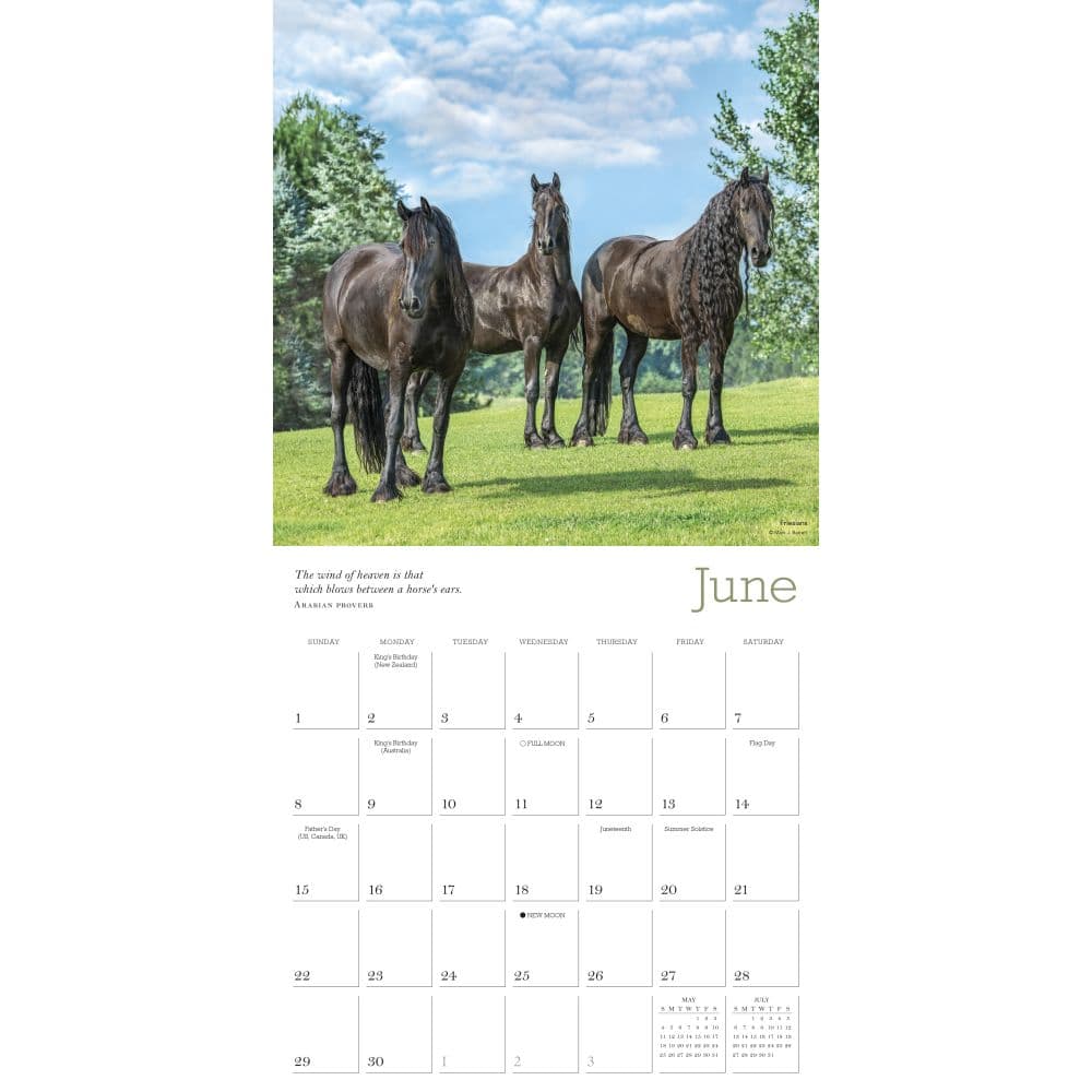Horse Calendar 2025 Pdf Winny Kariotta