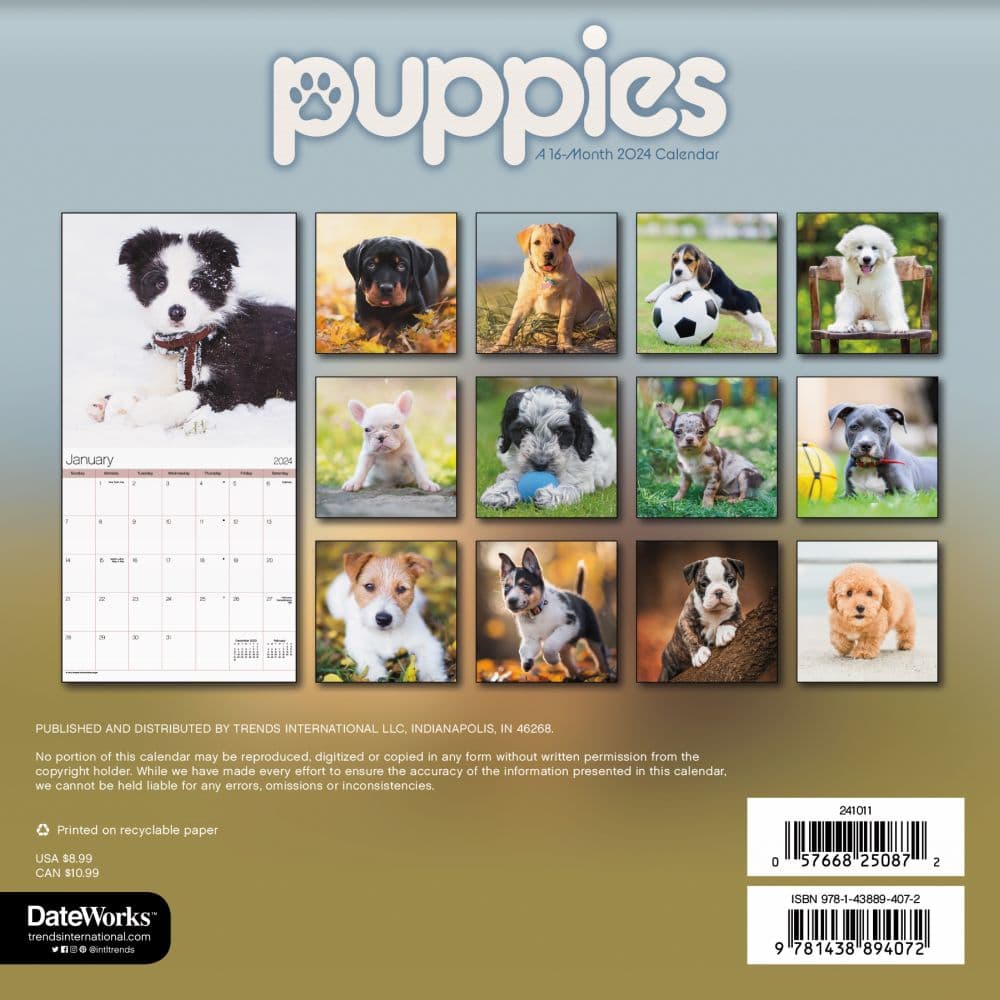 Puppies 2024 Mini Wall Calendar Alternate Image 2