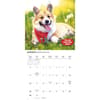 image Corgi Rules 2026 Wall Calendar Third Alternate Image