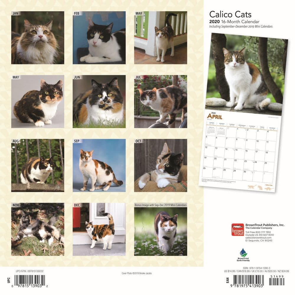 Calico Cats Wall Calendar - Calendars.com
