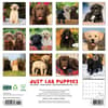 image Just Lab Puppies 2025 Wall Calendar