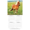 image Horses Photo 2025 Mini Wall Calendar