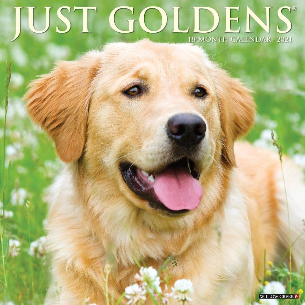 Just Goldens Wall Calendar
