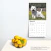 image West Highland White Terriers  2024 Wall Calendar Alternate Image 3