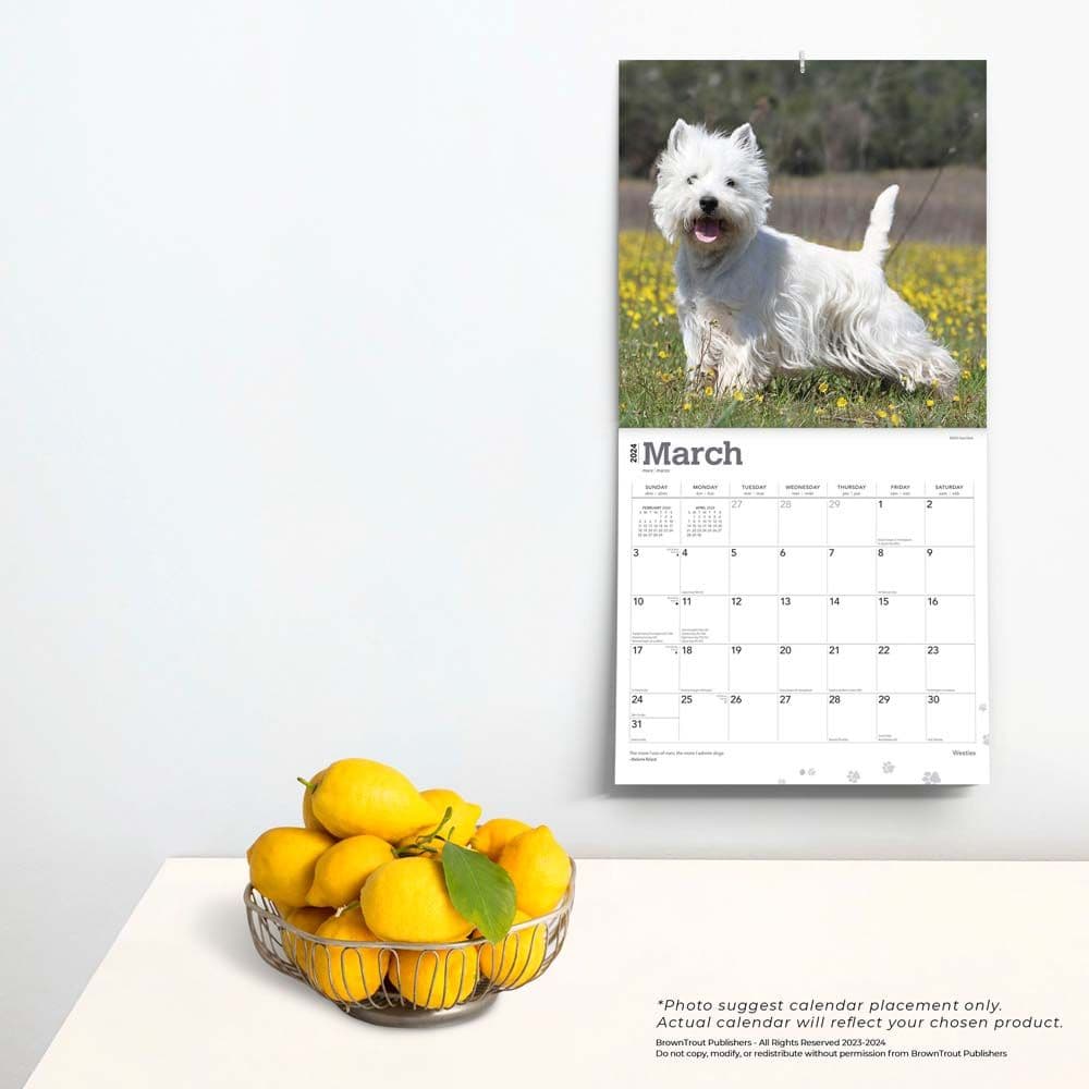 West Highland White Terriers  2024 Wall Calendar Alternate Image 3