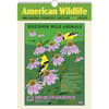 image American Wildlife Poster 2025 Wall Calendar Main Image