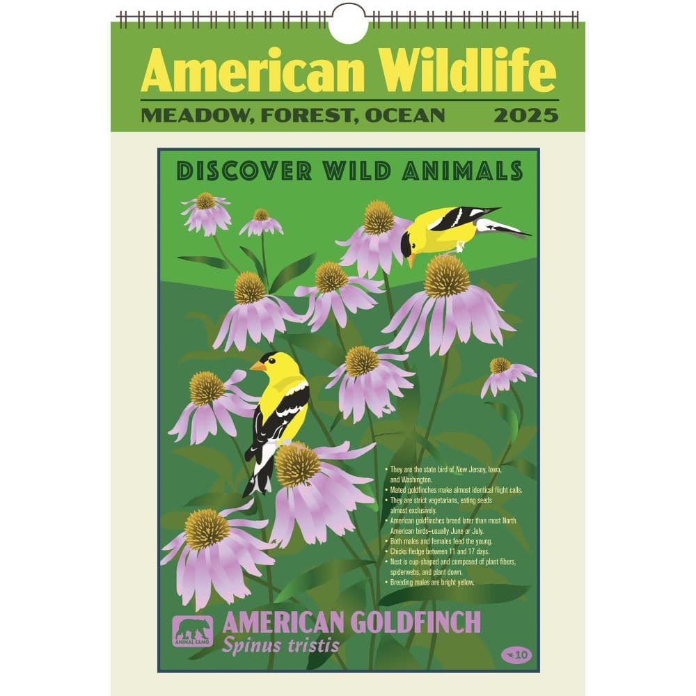 American Wildlife Poster 2025 Wall Calendar Main Image