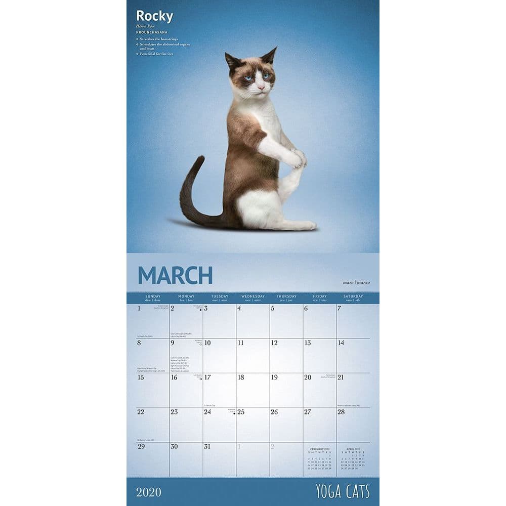 Yoga Cats Wall Calendar