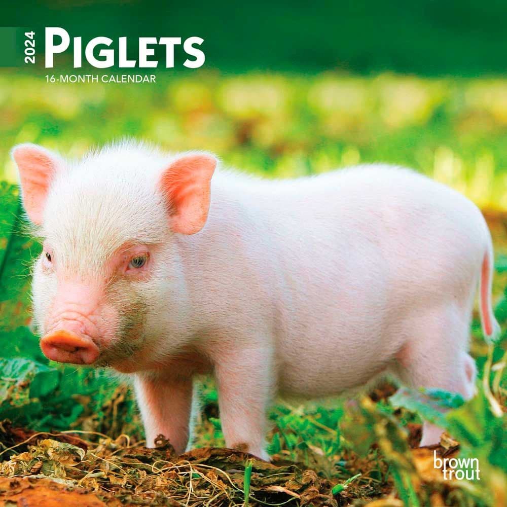 Piglets 2024 Mini Wall Calendar Calendars Com   2cbf2656 03e6 458e 8e11 657ab5ad7eed