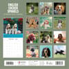 image English Cocker Spaniels 2025 Wall Calendar Alt1