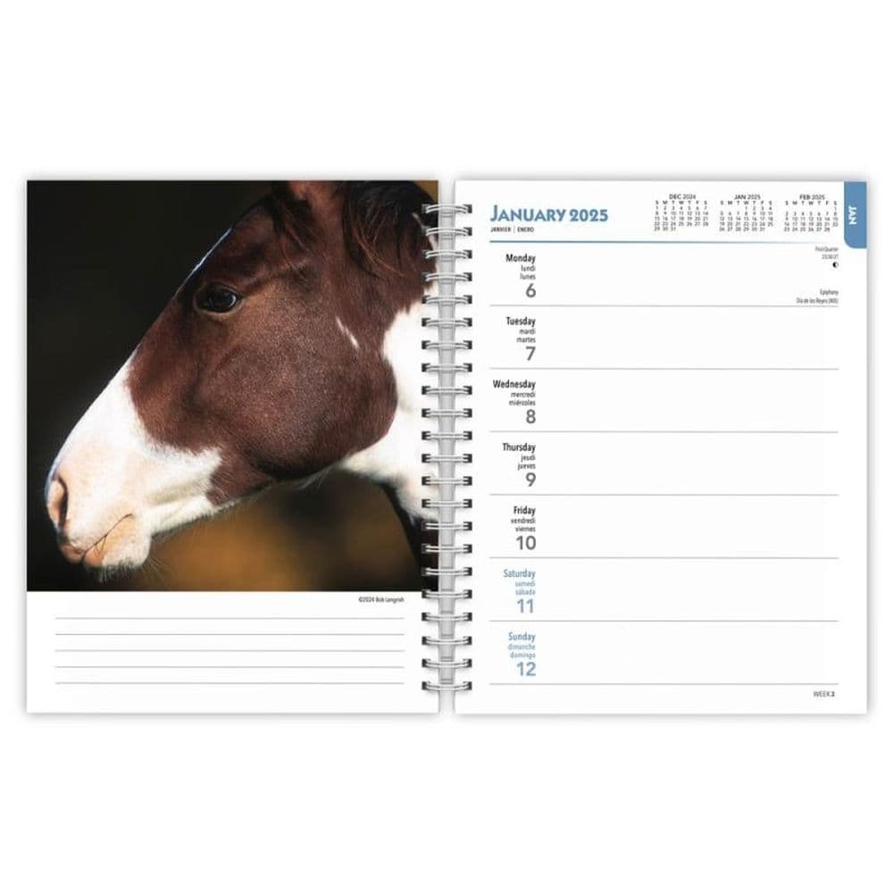 Horses 2025 Engagement Planner Second Alternate Image