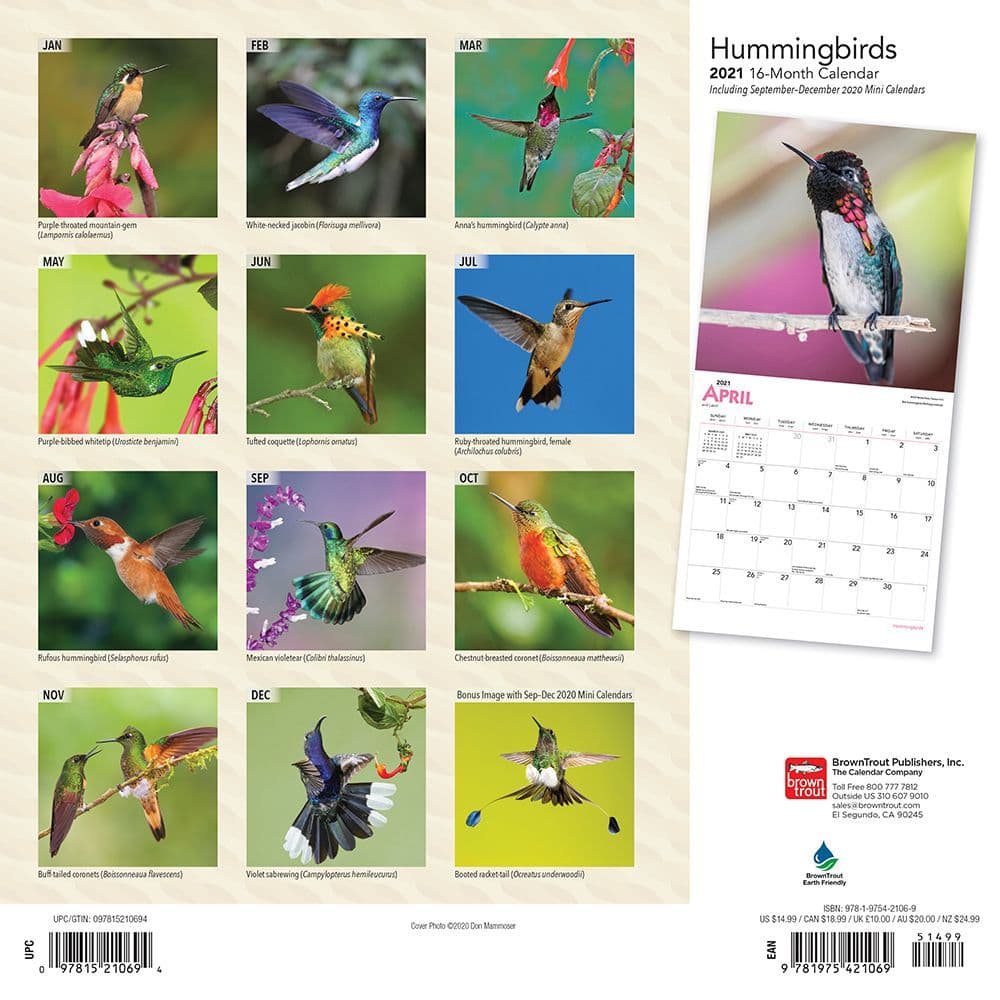 Hummingbirds Wall Calendar