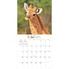 image Baby Animals - Wildlife 2024 Wall Calendar Second Alternate Image width=&quot;1000&quot; height=&quot;1000&quot;