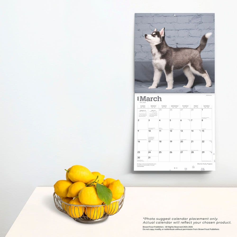 Siberian Husky Puppies 2025 Wall Calendar