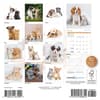 image Kittens and Puppies 2025 Mini Wall Calendar Alt1