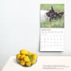 image I Love Cats Plato 2025 Wall Calendar Fourth Alternate Image width=&quot;1000&quot; height=&quot;1000&quot;
