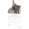 image Kittens and Friends 2026 Mini Wall Calendar Fourth Alternate Image