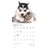 image Kittens and Puppies Special Value 2026 Wall Calendar Second Alternate Image