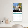 image Bald Eagles 2025 Wall Calendar Third Alternate Image width="1000" height="1000"