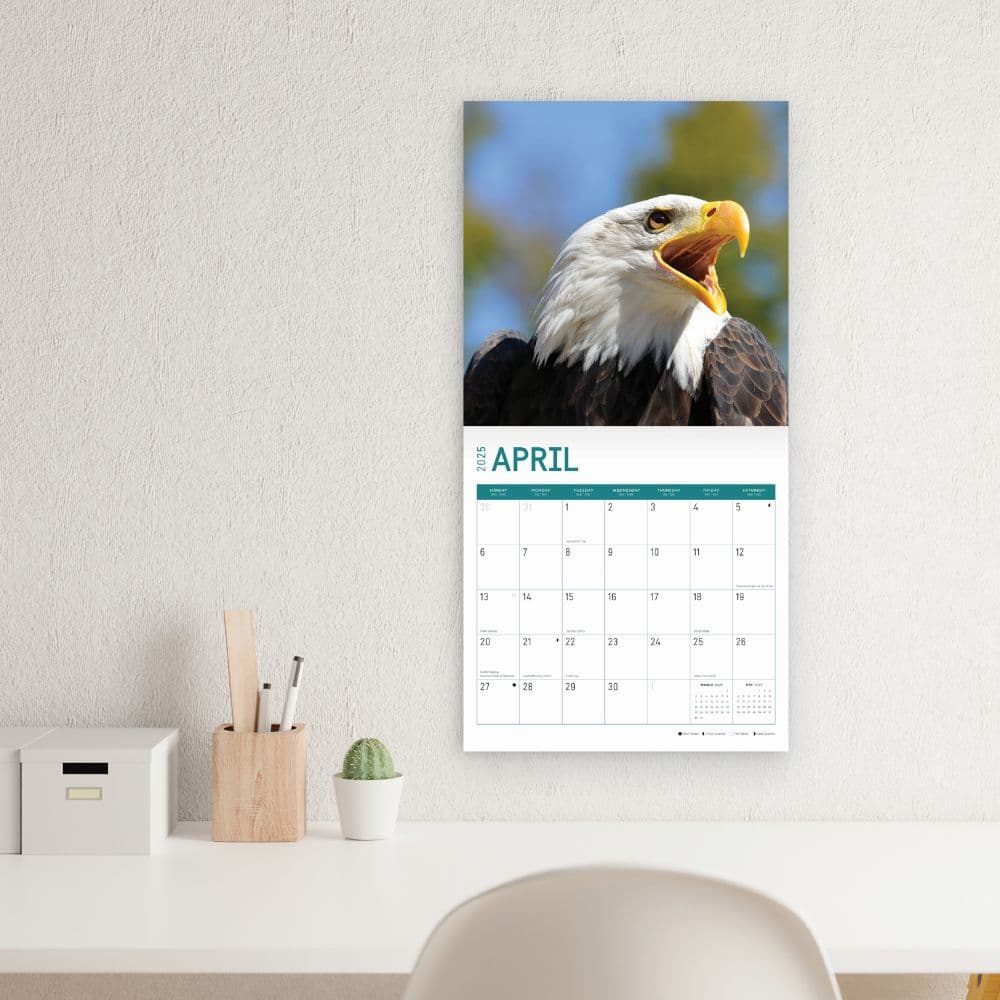 Bald Eagles 2025 Wall Calendar Third Alternate Image width="1000" height="1000"