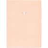 image Blush 2019 Planner Main Product Image