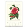 image Botanica Art Poster 2025 Wall Calendar First Alternate Image width="1000" height="1000"