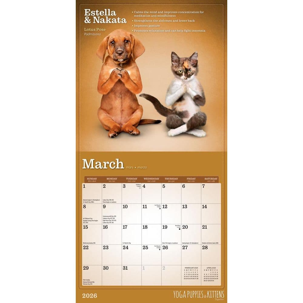 Yoga Puppies and Kittens 2026 Mini Wall Calendar Second Alternate Image