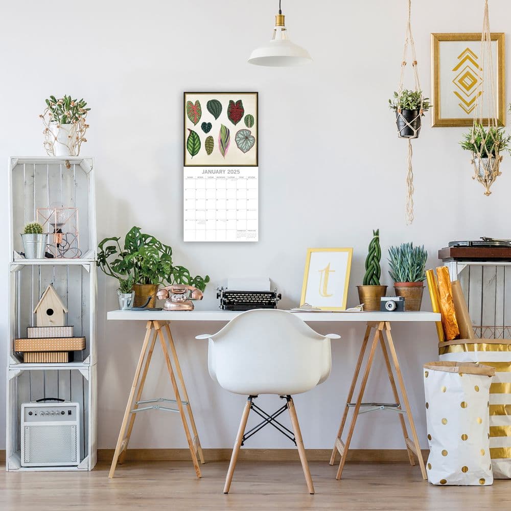 Botanicals 2025 Wall Calendar Second Alternate Image width=&quot;1000&quot; height=&quot;1000&quot;