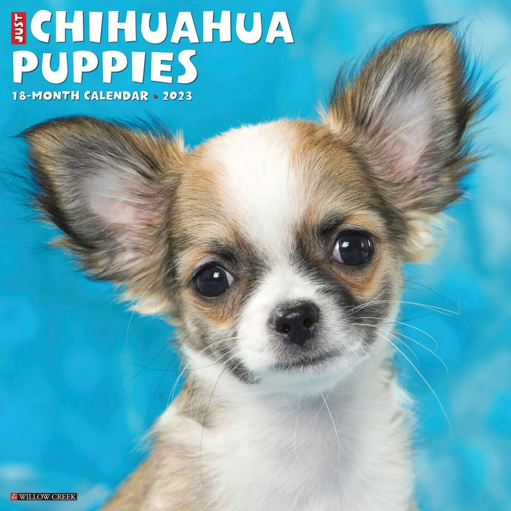 Willow Creek Press Just Chihuahua Puppies 2023 Wall Calendar