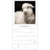image I am Goat 2026 Wall Calendar Third Alternate Image