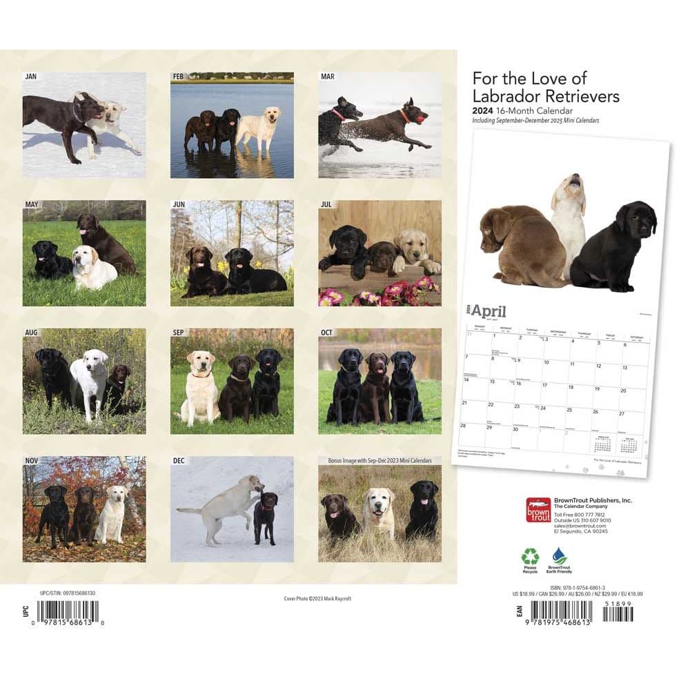 Lab Retriever Deluxe 2024 Wall Calendar Calendars Com   2d81b8c8 C8fc 48ee 8405 64c1a1757942