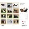 image Lab Retriever Deluxe 2024 Wall Calendar First Alternate Image width=&quot;1000&quot; height=&quot;1000&quot;