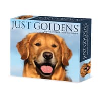 image Just Goldens 2026 Desk Calendar  Main Image