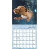 image Underwater Puppies By Seth Casteel 2025 Mini Wall Calendar Third Alternate Image width=&quot;1000&quot; height=&quot;1000&quot;