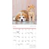 image Kittens and Puppies 2025 Mini Wall Calendar Alt3