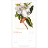 image New York Botanical Garden 2026 Wall Calendar Third Alternate Image