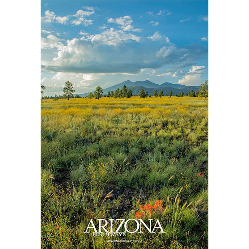 Arizona Highways 2025 Planner