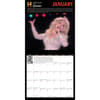 image History Channel This Day in History 365 Facts 2026 Wall Calendar
