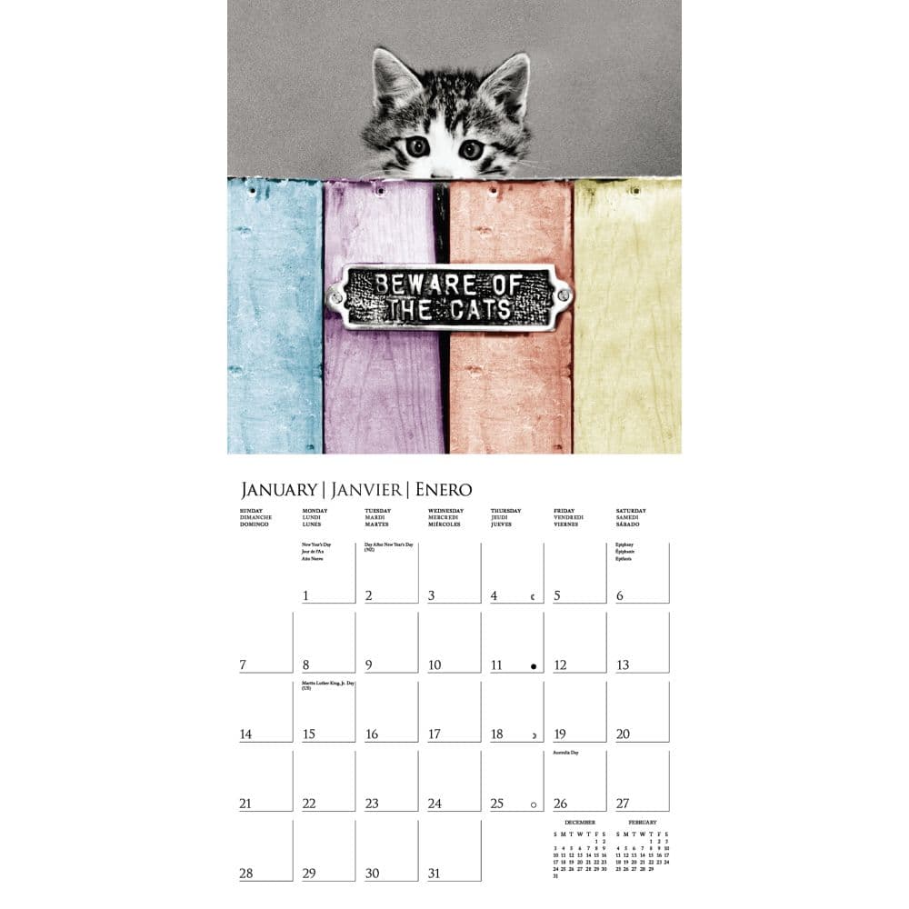 Classic Cats 2024 Wall Calendar