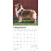 image Collies 2025 Wall Calendar