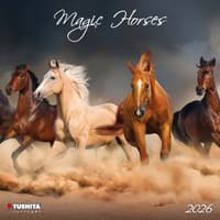 image Magic Horses 2026 Wall Calendar Main Image