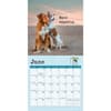 image Dog is Good Fur Wisdom 2025 Mini Wall Calendar