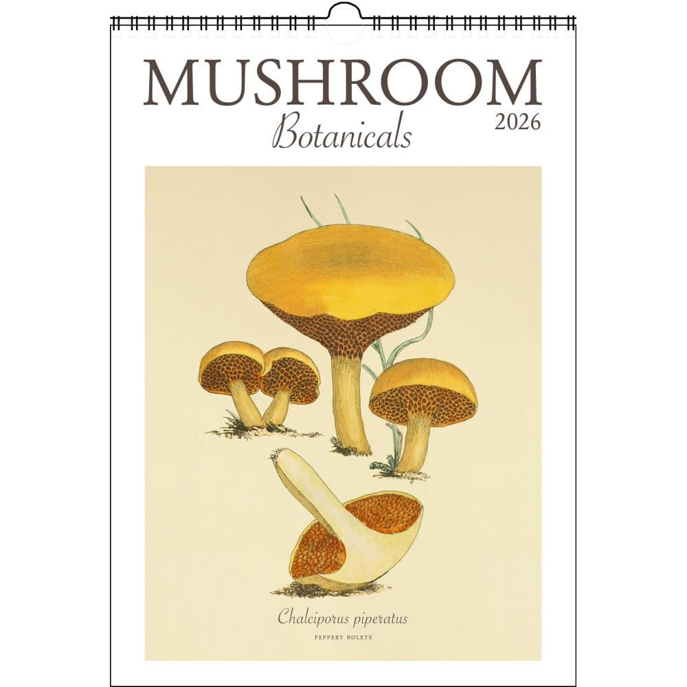 Mushroom Poster 2026 Wall Calendar Main Image