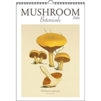 image Mushroom Poster 2026 Wall Calendar Main Image